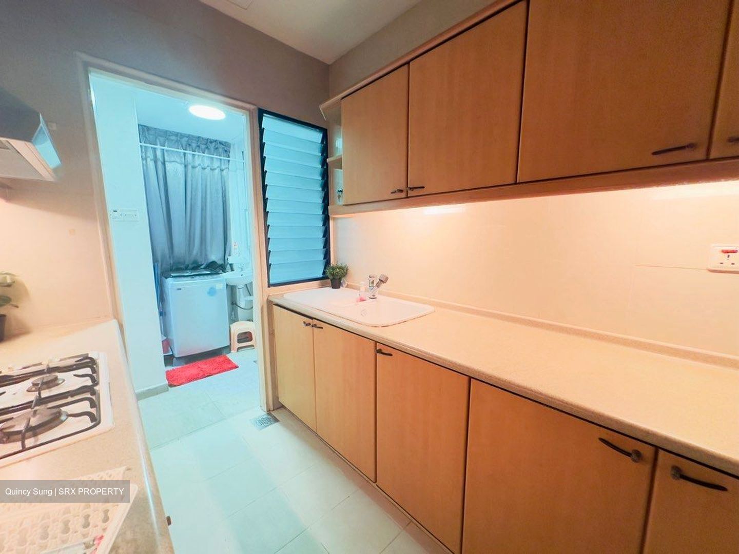 Nineteen Shelford Road (D11), Condominium #465572551